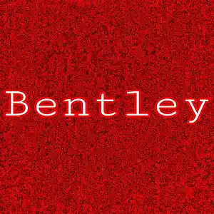 Picture for song 'bently' by artist 'Adron Got Hits'