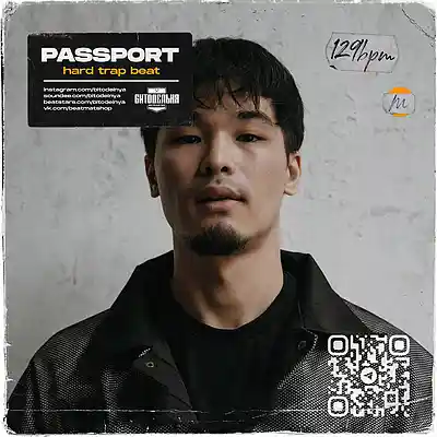 Picture for song 'Passport' by artist 'BITODELNYA'