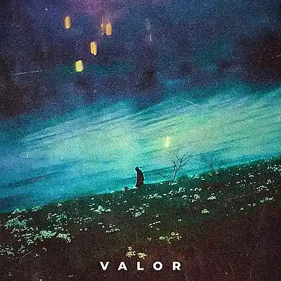 Picture for song 'Valor' by artist 'Erawy'