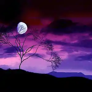 Picture for song 'Oh So Lovely' by artist 'JakeJ'