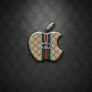 Picture for song 'No Trends - (Buy 2 Get 2 Free)' by artist 'KMBeatsOfficial'