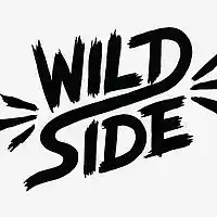Picture for song 'Wild Side (Prod By Kollision)' by artist 'KOLLISION BEATS'