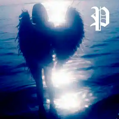 Picture for song 'l1nes' by artist 'plaxsy'