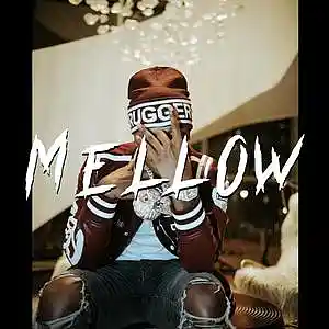 Picture for song 'Mellow (Toosii type beat)' by artist 'RVSN beats'