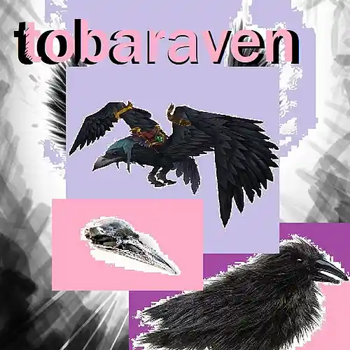cover pic