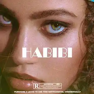 Picture for song 'Oriental Pop type beat - Habibi' by artist 'Theboiivnn'
