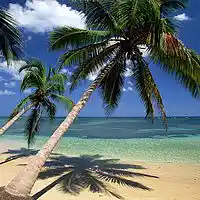 Picture for song 'Everywhere Calypso Demo' by artist 'Ucancallmeal'