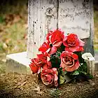 Picture for song 'Roses On A Grave : Emotional' by artist 'Arson Of ENCORE'