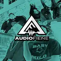 Picture for song 'Walter White' by artist 'Audio Fiene'