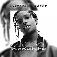 Picture for song 'Different Breed (FREE DL)' by artist 'Cash Bag Beats'