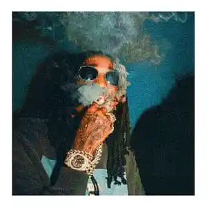 Picture for song 'DRIP / MIGOS x GUNNA TYPE BEAT' by artist 'DaReal Beats'