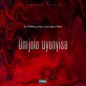 Picture for song 'Umjolo uyanyisa[Feat. Just_Gee & Mbali]' by artist 'DJ PhilMow King'