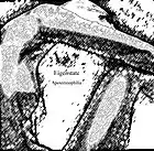 Picture for song 'Fasciiting Necrotis' by artist 'Eigenstate'