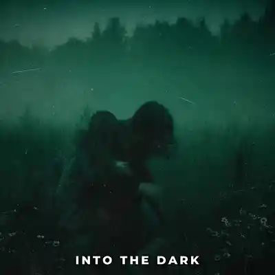 Picture for song 'Into the Dark' by artist 'Erawy'