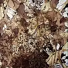 Picture for song 'Tremendous Flash' by artist 'Karma's Army'