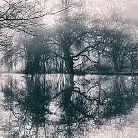 Picture for song 'Shadows On The Water' by artist 'Kristi McKeever'