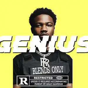 Picture for song 'roddy ricch type beat 2021 genius' by artist 'pandamusic'