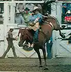 Picture for song 'My Rodeo Will Stay' by artist 'Rory David'