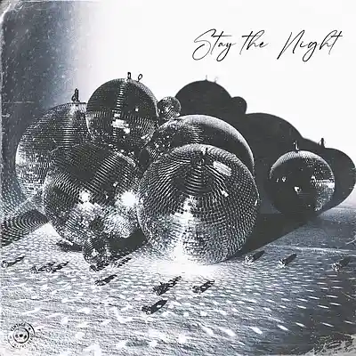 Picture for song 'Stay The Night - Disco Type Beat' by artist 'Vintage Luxury Beats'