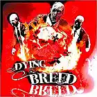 Picture for song 'the deception (free dl)' by artist 'FLOW BANGER PRODUCTIONS'