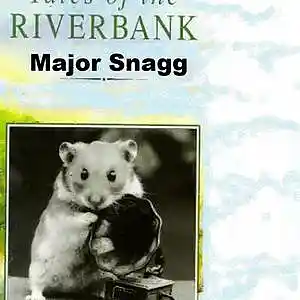 Picture for song 'Tales Of The Riverbank (2020 The Great Outdoors Op' by artist 'Major Snagg'