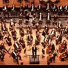 Picture for song 'Orchestrap' by artist 'Day Day UK'