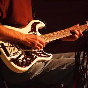 Picture for song 'Sally' by artist 'Garth Jones'