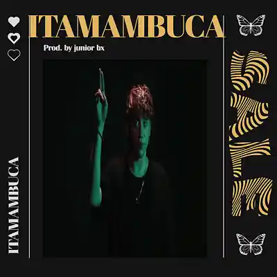 Picture for song 'ITAMAMBUCA' by artist 'Junior on the beat'