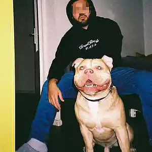 Picture for song 'Too Much (Buy 1 Get 3 Free)' by artist 'Kapellmaister'