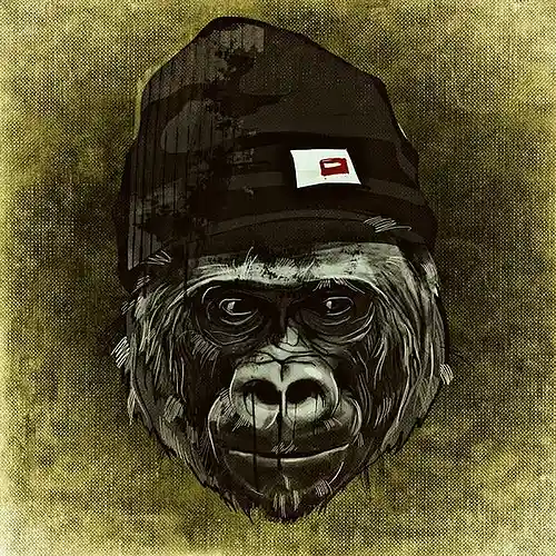 Artist picture