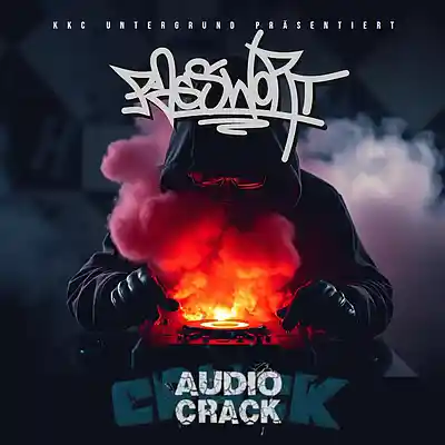 Picture for song 'AUDIO CRACK Remix' by artist 'PASSWORT 13-8'