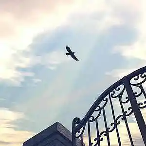 Picture for song 'Heaven's song' by artist 'BLACKFIRE PROD'