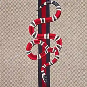 Picture for song 'REDDSNAKE X TYPE BEAT' by artist 'ThePluggKidd'