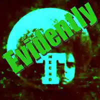 Picture for song 'Evidently' by artist 'Turtle Necromancer'