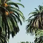Picture for song 'Slow Motion (Zona & MelroseZee)' by artist 'Zona Beatz'