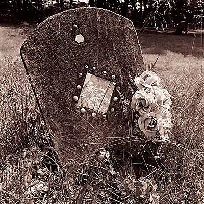 Picture for song 'When im gone' by artist 'adeeb'