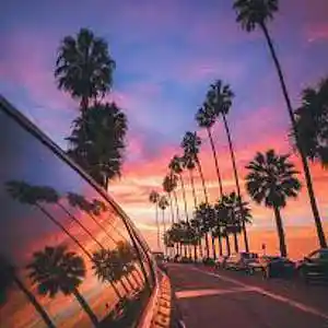 Picture for song 'Sunset Drive' by artist 'ProDByGoDBoDI'