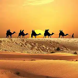 Picture for song 'In The Desert ( Arabic Trap )' by artist 'HXSHXR'