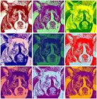 Picture for song 'Love Song (Cure Cover)' by artist 'I Like Snaps'