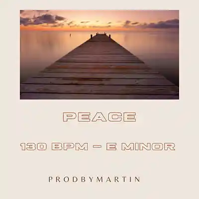 Picture for song '"Peace" - Drake x Soulful Trap Type Beat' by artist 'ProdbyMartin'