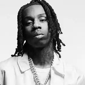 Picture for song 'YOUNG N WILD *TRAPSOUL BANGER*' by artist 'ShawtyChrisBeatz'
