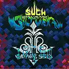 Picture for song 'Negligent Soul' by artist 'Such Handsome Silver'