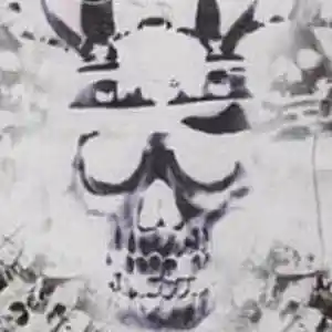 Picture for song 'Role Model (Rockstar)' by artist 'TWOxSMOKINGxBVRRELS'