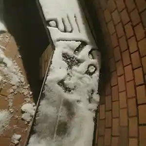 Picture for song '20231225_143024_sitzend_fs_kopf' by artist '786 scheint-Al'lahs Bande'