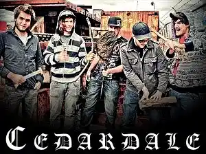 Picture for song 'Zombies' by artist 'Cedardale'