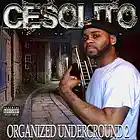 Picture for song 'OH SO POPULAR' by artist 'Cesolito'