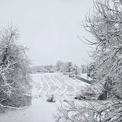 Picture for song 'Yeat/rage type beat' by artist 'dommm'