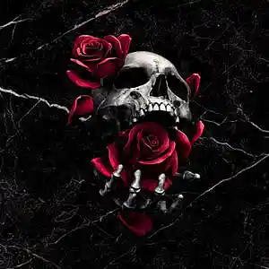 Picture for song 'EMO RAP TYPE BEAT - ANGELS AND DEMONS' by artist 'Far Out Beats'