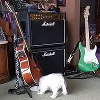 Picture for song 'Downward Dog' by artist 'J Prock'