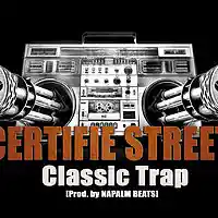 Picture for song 'CERTIFIE STREET - Classic Trap 140BPM' by artist 'NAPALM BEATS'